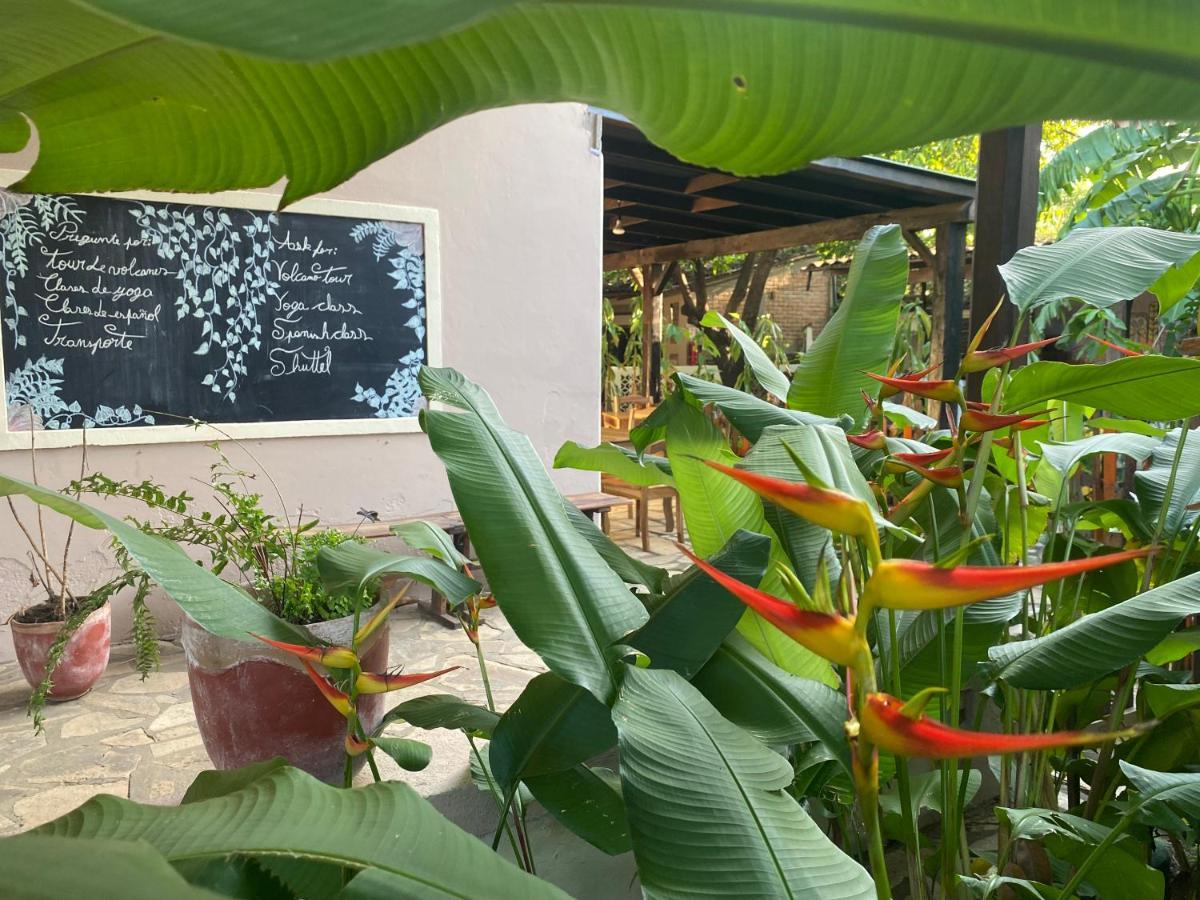 Hostal Casa Abierta เลออน ภายนอก รูปภาพ