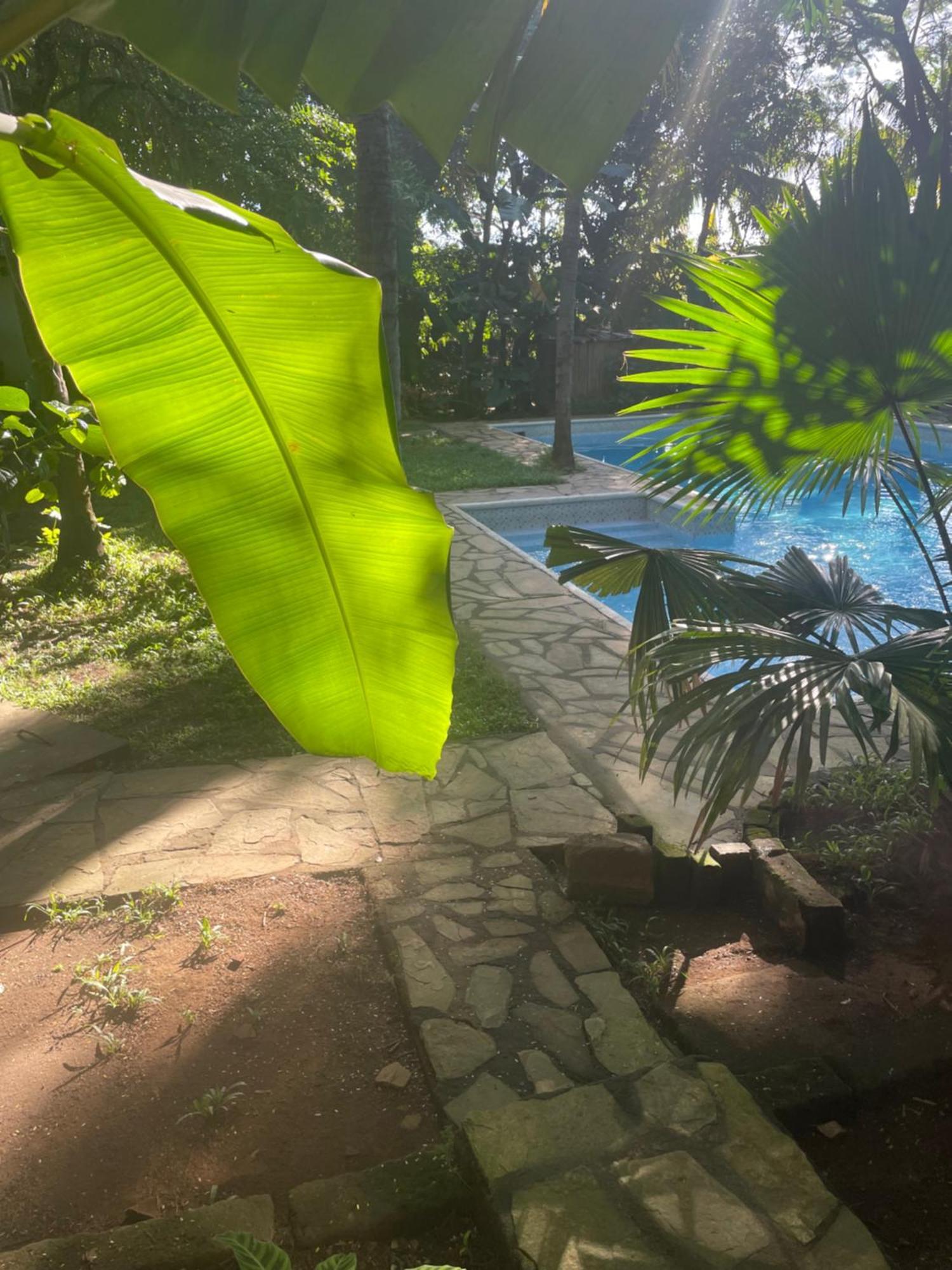 Hostal Casa Abierta เลออน ภายนอก รูปภาพ