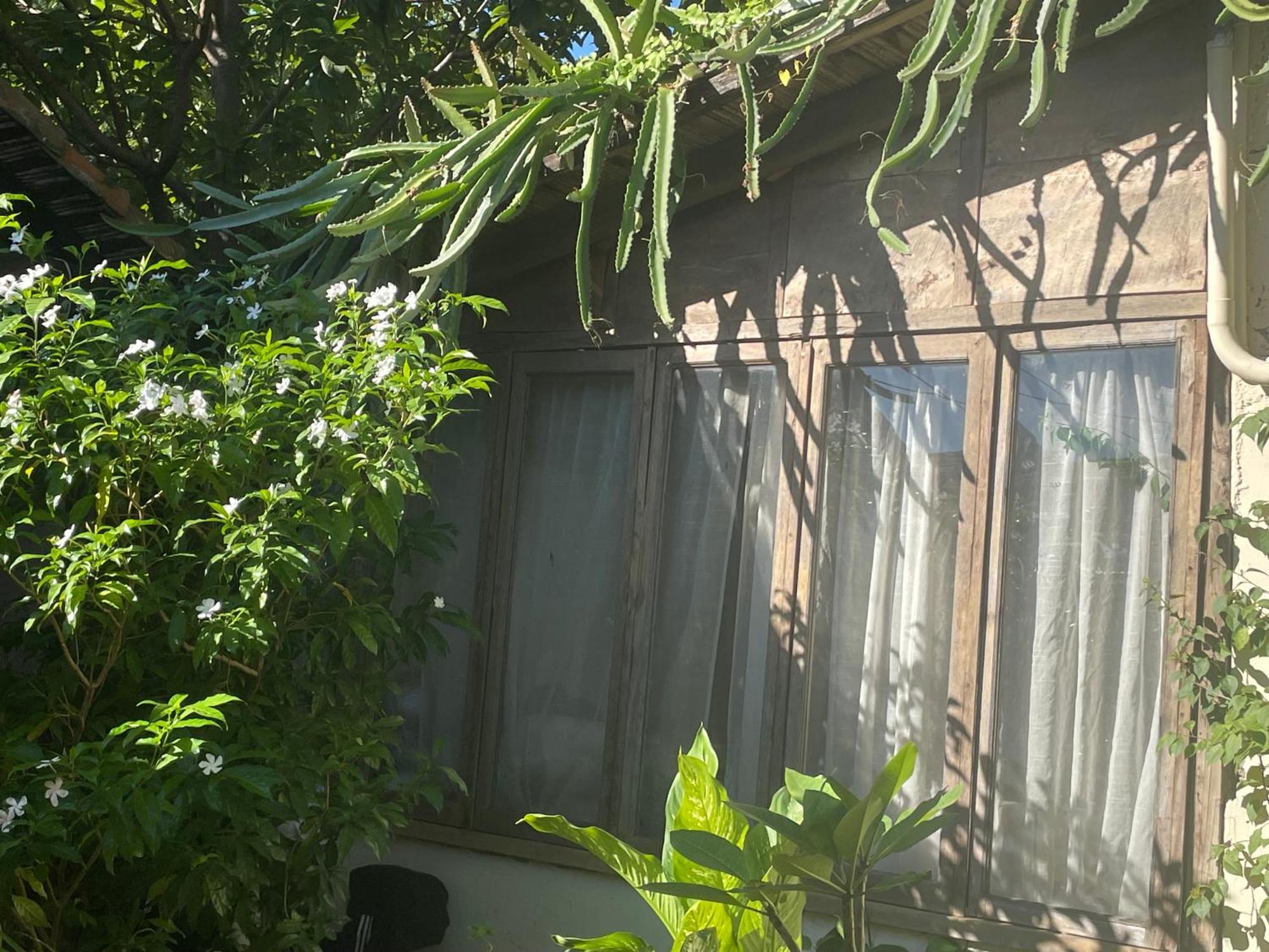 Hostal Casa Abierta เลออน ภายนอก รูปภาพ