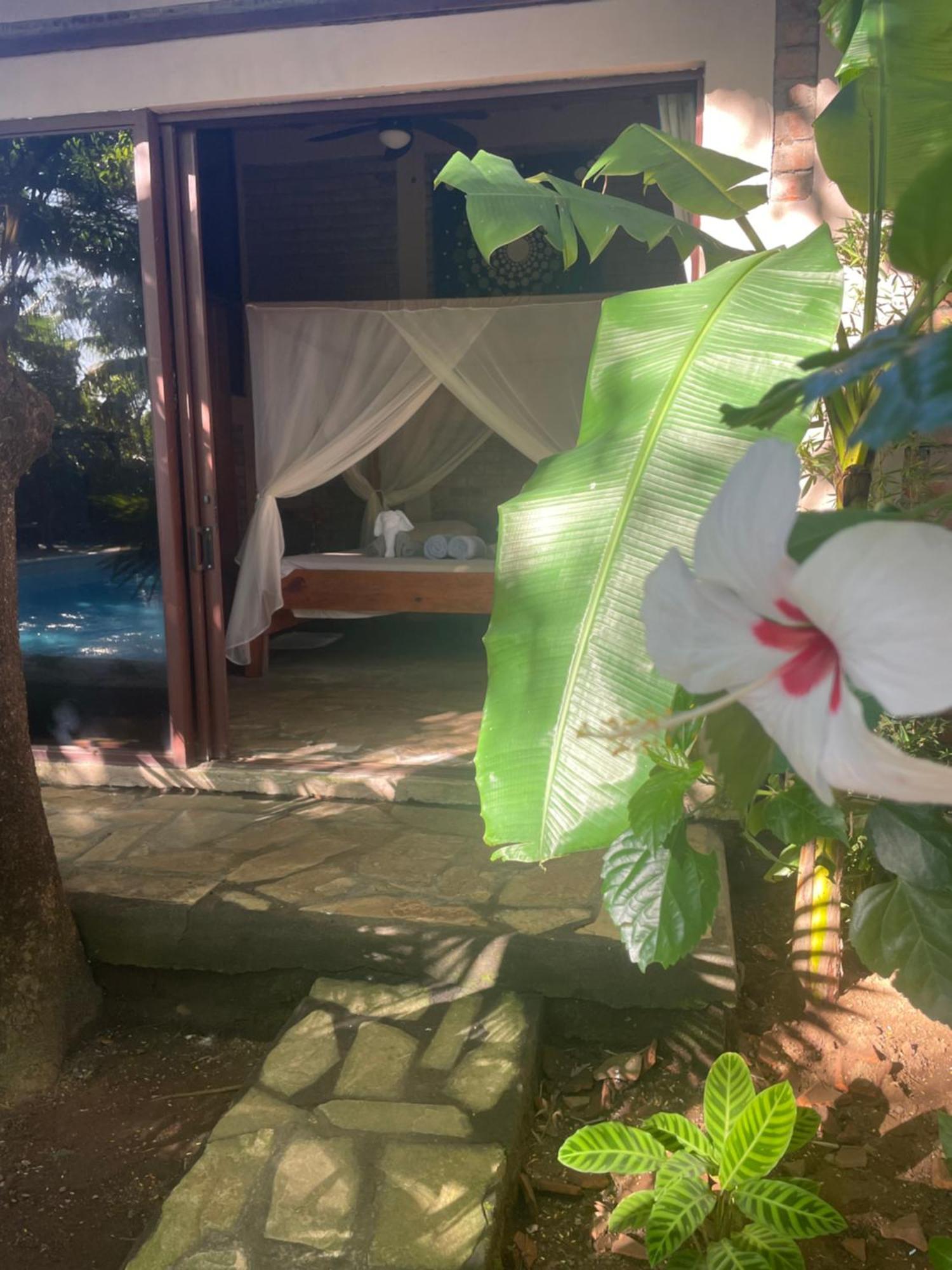 Hostal Casa Abierta เลออน ภายนอก รูปภาพ